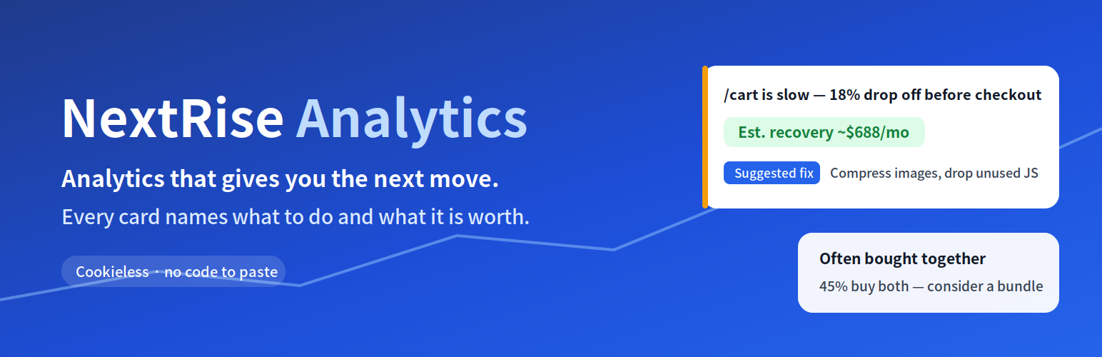 NextRise Analytics – WooCommerce & Welcart Ecommerce Analytics